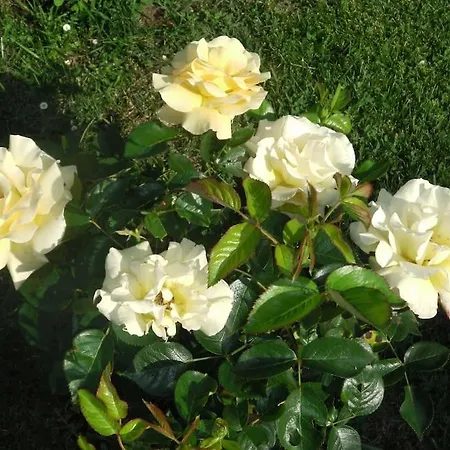 Proche Sortie Autoroute *