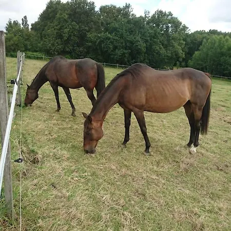 Proche Sortie Autoroute