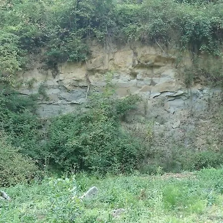 Proche Sortie Autoroute Noaillac