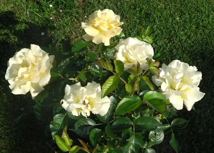 Proche Sortie Autoroute *