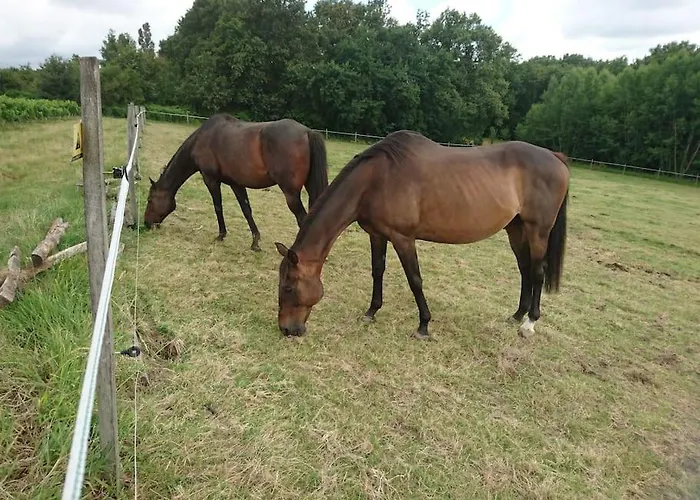 Proche Sortie Autoroute