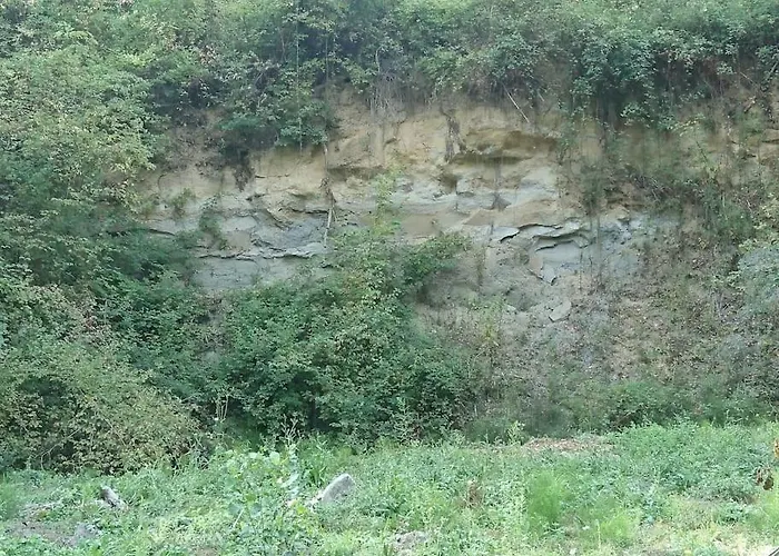 Proche Sortie Autoroute Noaillac